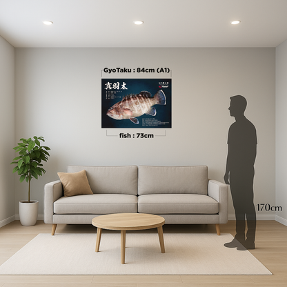 Large Catch (Up to 110cm)